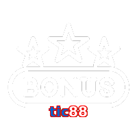 tic88