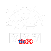 tic88