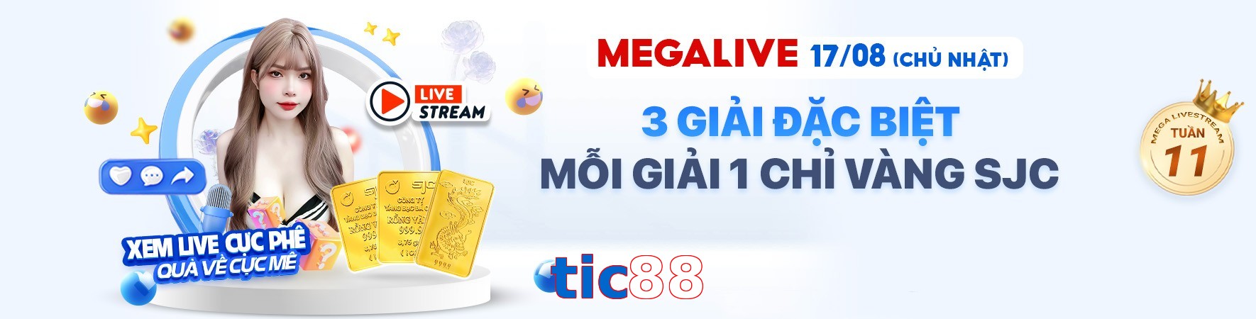 tic88
